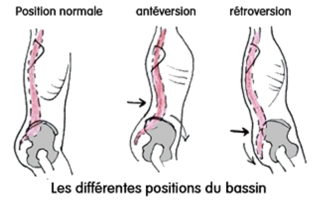 les positions