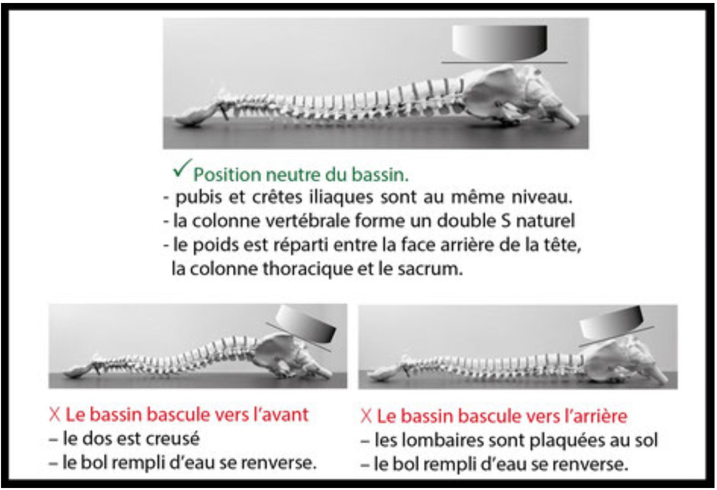 position neutre